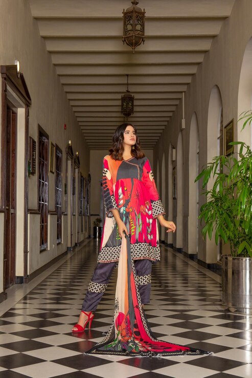 gorgeous girl posing fashion shoot hotel corridor wearing traditional desi dress 658768 527